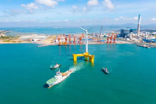 三峡集团发扬“三牛”精神，引领中国海上风电发展与航空国际货运代理