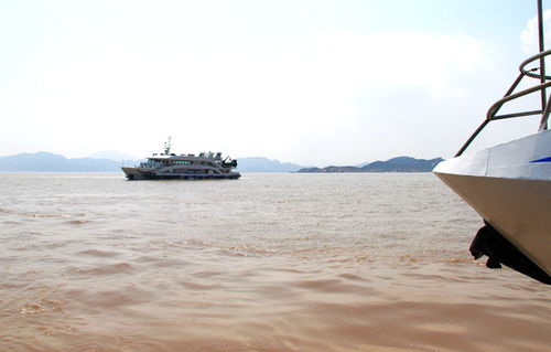航程与禅心 从国际货运代理到普陀山的朝圣之旅