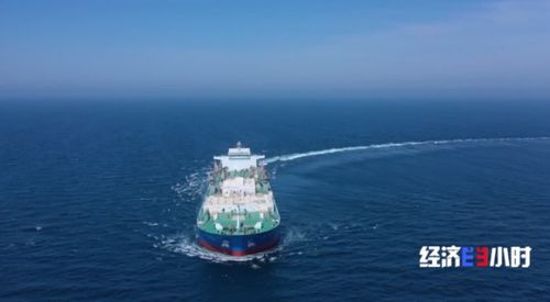 流动的海上牧场 探秘10万吨级智慧渔业养殖工船深海作业与航空国际货运联动