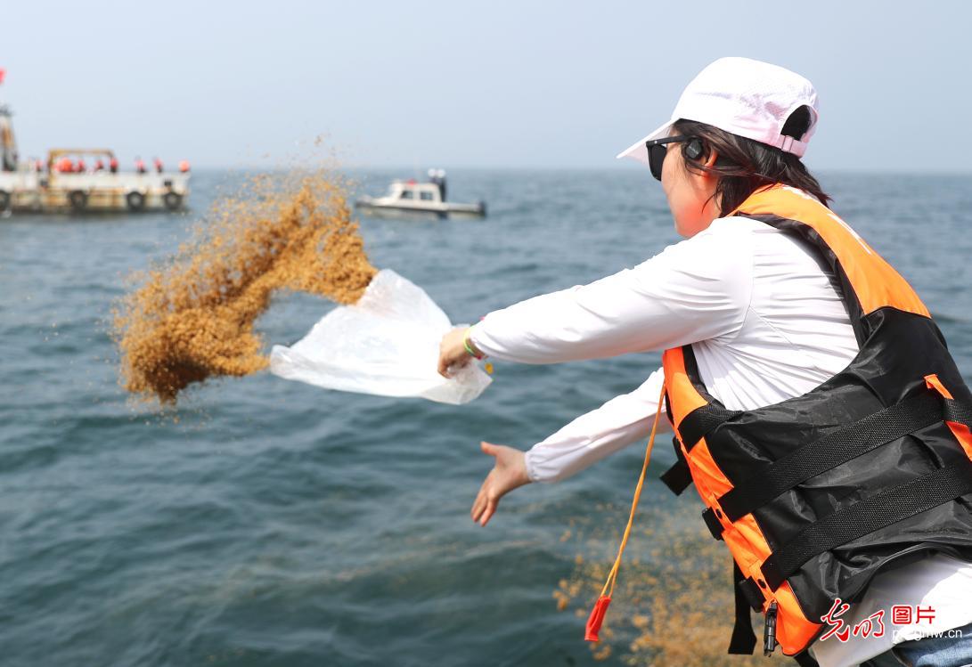 青岛 7000多万单位鱼虾增殖，打造坚实“海上粮仓”