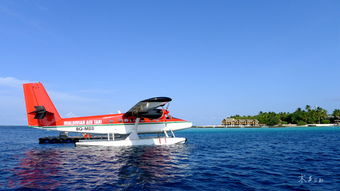 两个人的荒岛 大海之上的心灵孤舟