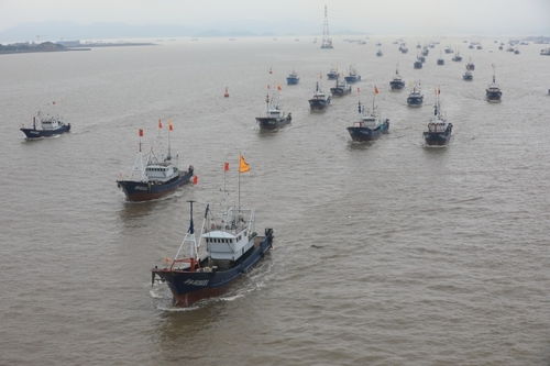 普陀 海上纠纷结案率100%的秘诀——以航空国际货运代理为纽带，构建多元高效解纷新格局