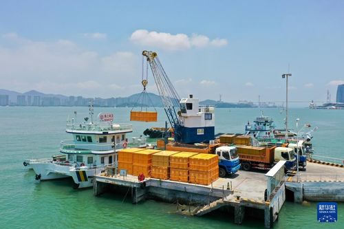 海上美容师 厦门海上环卫站守护碧海银滩